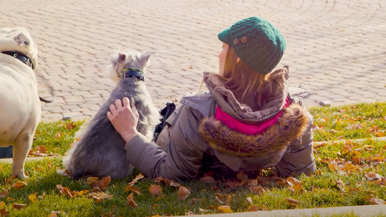 Canine Peace of Mind - Consonant Marketing Brand Development